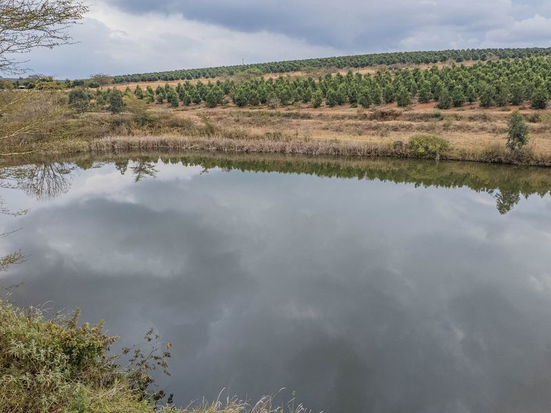 A scenic view of a natural dam on the small holding, featuring a large body of water with an orchard in the background.