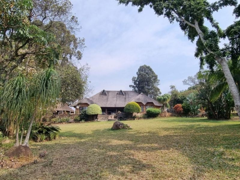 A view of the rear elevation of a property featuring a traditional thatched roof, set within a spacious and well-established garden landscape.
