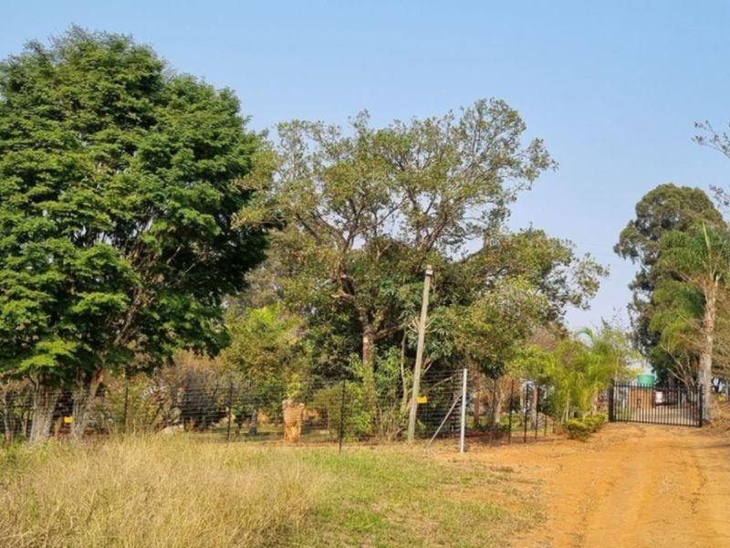 A view of the property entrance featuring a dirt access road, wire mesh fencing, and a metal gate surrounded by mature trees.