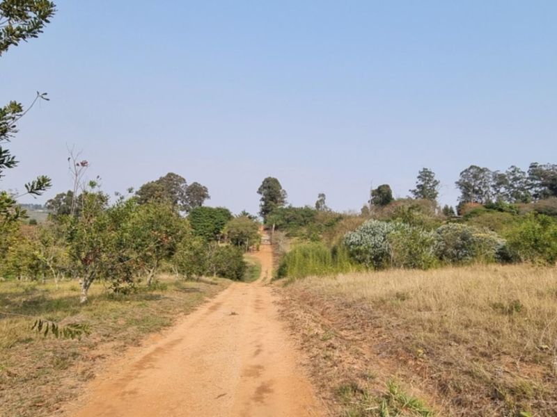 A view of a dirt access road winding through the open grassland and mature trees on the small holding property.