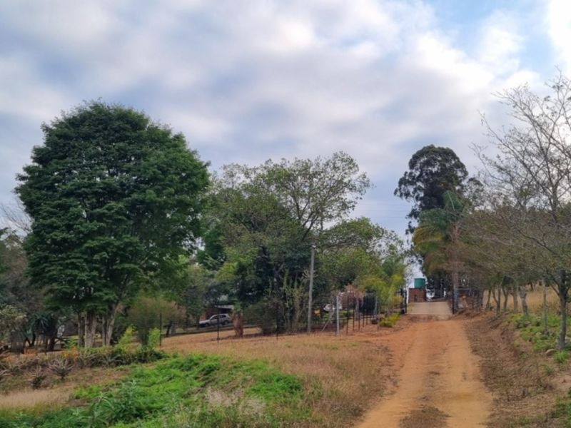 A view of the dirt driveway leading towards the property entrance, surrounded by mature trees and established garden landscaping on a small holding.