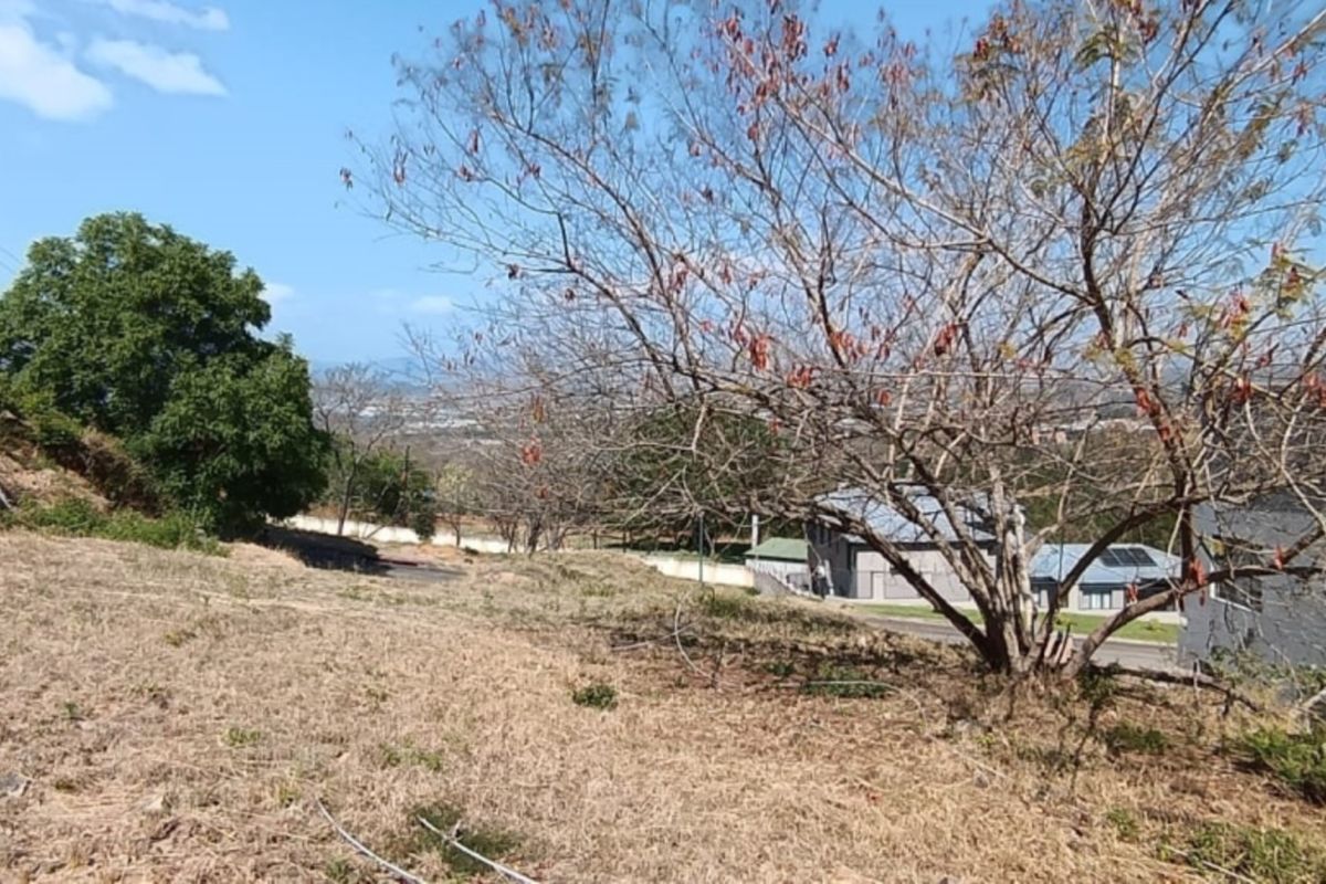 A view of a sloped residential vacant land plot featuring natural rocky terrain and mature trees with surrounding neighborhood buildings visible in the distance.