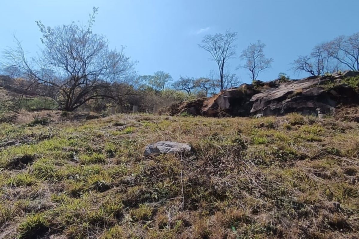 A view of a sloped residential plot featuring natural rock formations and established trees under a clear sky.