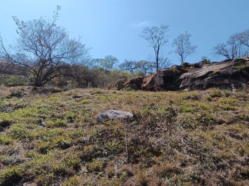 A view of a sloped residential plot featuring natural rock formations and established trees under a clear sky.
