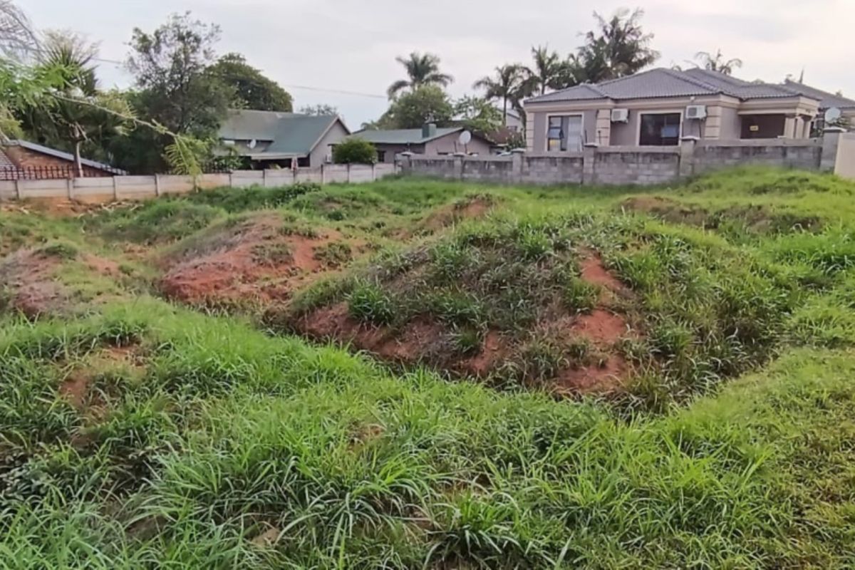 A vacant residential plot featuring uneven, overgrown terrain and boundary walling, situated in an established neighborhood.