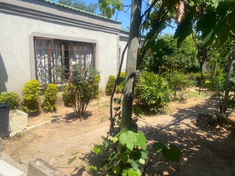 A view of the rear exterior of the house featuring a concrete pathway, established garden landscaping, and timber-framed windows.