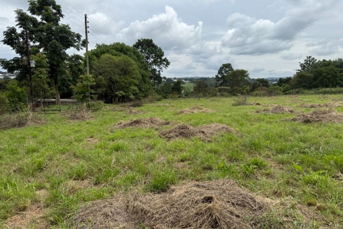 A view of a vacant residential plot featuring grassy terrain, mature trees, and existing utility infrastructure.