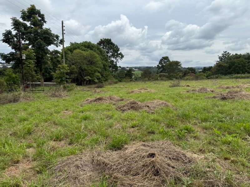 A view of a vacant residential plot featuring grassy terrain, mature trees, and existing utility infrastructure.