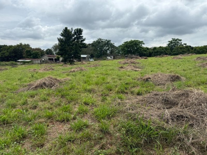 A wide-angle view of a large, grassy residential plot with scattered vegetation and mature trees in the background.