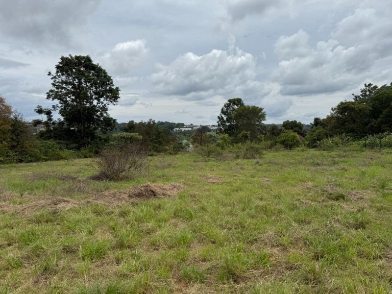 A view of an open, grassy residential plot featuring mature trees and a distant landscape outlook.