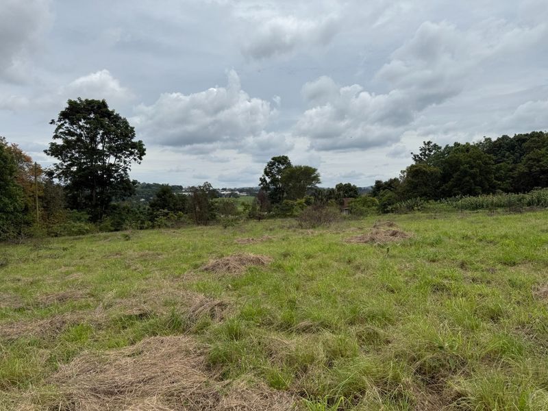 A wide-angle view of a vacant residential plot featuring natural grassland and mature trees under a cloudy sky.
