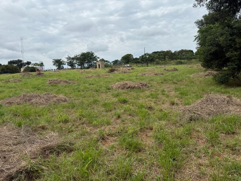A view of a vacant residential plot featuring grassy terrain, perimeter fencing, and a small utility structure on the property.