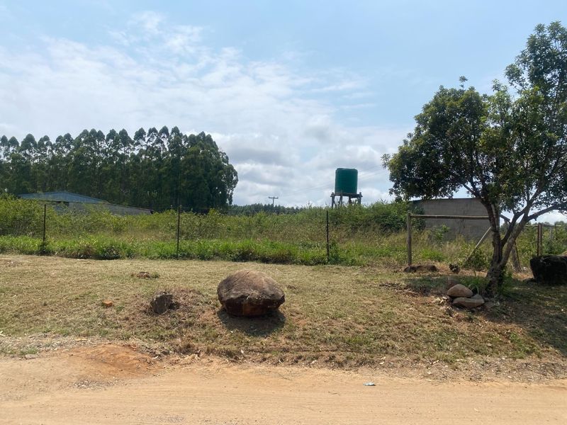 A view of the small holding grounds featuring a water tank, wire fencing, and natural vegetation with an outbuilding in the background.