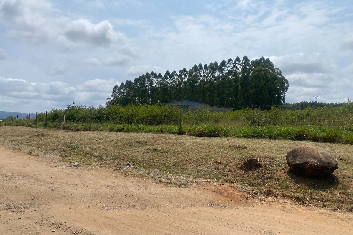 A view of the property frontage featuring a dirt road access and perimeter wire fencing with mature trees in the background.