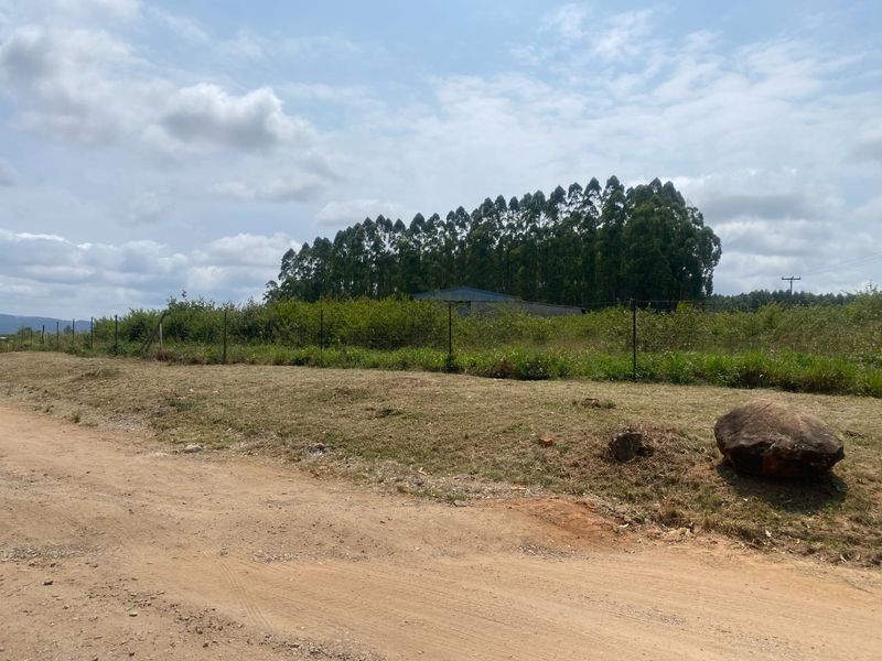 A view of the property frontage featuring a dirt road access and perimeter wire fencing with mature trees in the background.