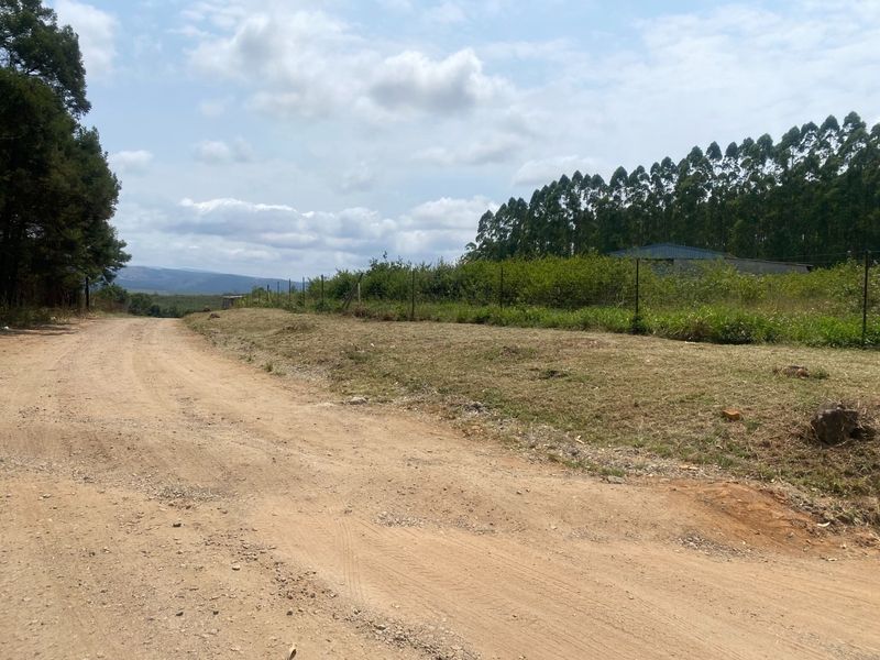A view of the dirt access road leading to the small holding, featuring wire fencing and surrounding natural landscape.
