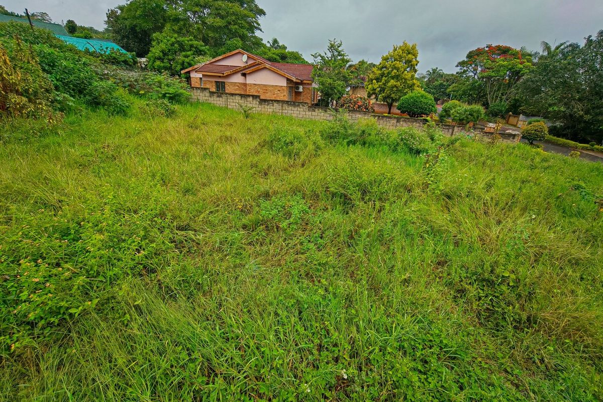 A view of a vacant residential plot featuring sloped terrain and a boundary wall, surrounded by established trees and neighbouring properties.