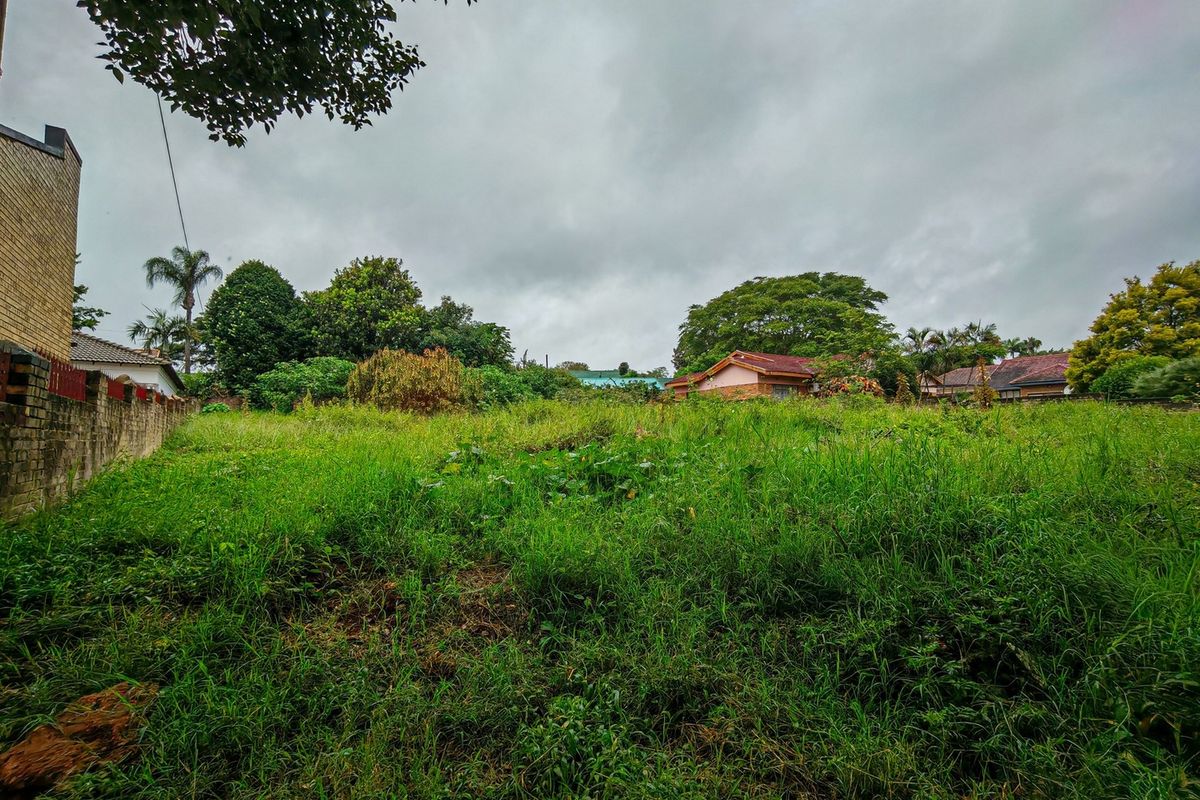A vacant residential plot featuring overgrown grass, mature trees, and an existing brick boundary wall, offering potential for future development.