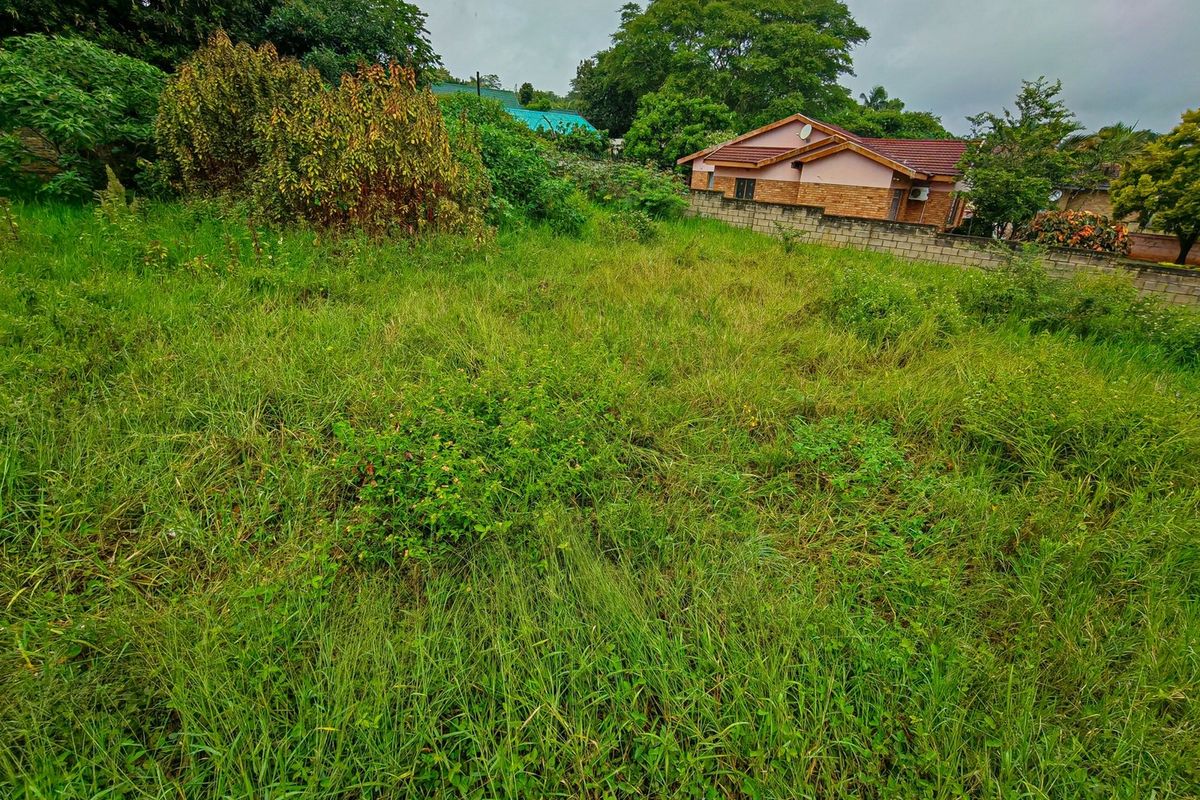 A vacant residential plot featuring overgrown grass and vegetation, enclosed by a boundary wall with neighboring properties visible in the background.