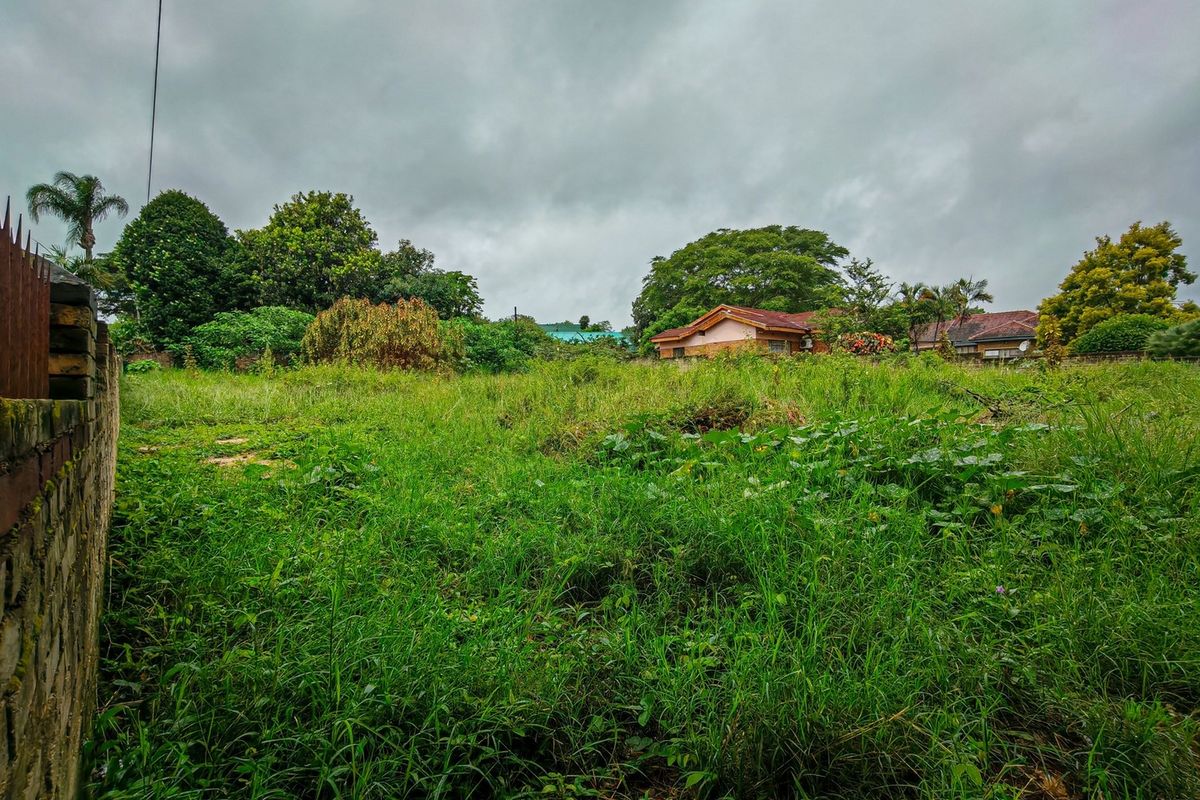 A vacant residential plot featuring overgrown grass and a boundary wall, offering a blank canvas for future development.