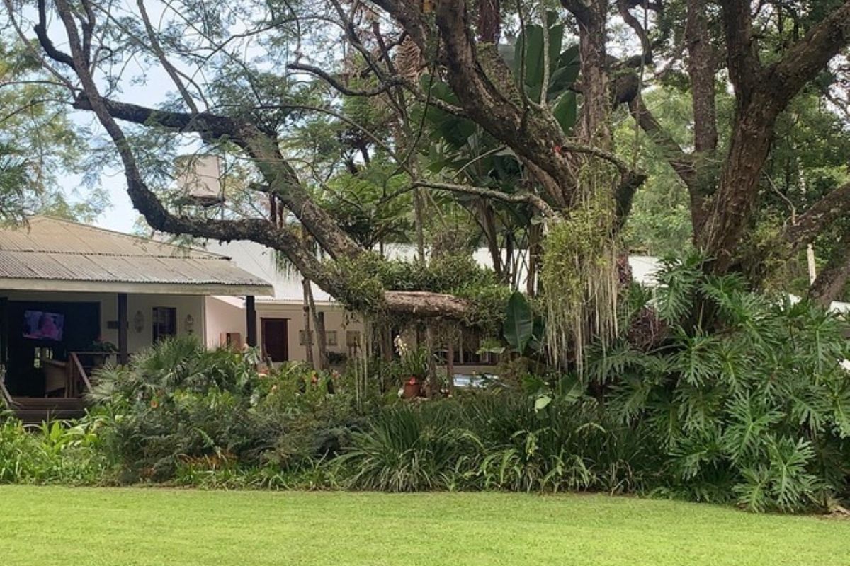 A view of the rear exterior of the house featuring a covered patio area, corrugated metal roofing, and a lush, mature garden setting.