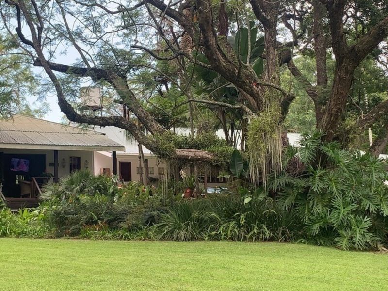 A view of the rear exterior of the house featuring a covered patio area, corrugated metal roofing, and a lush, mature garden setting.