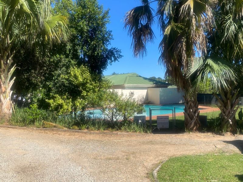 A view of the communal swimming pool area featuring established palm trees, landscaped garden surrounds, and secure metal perimeter fencing.