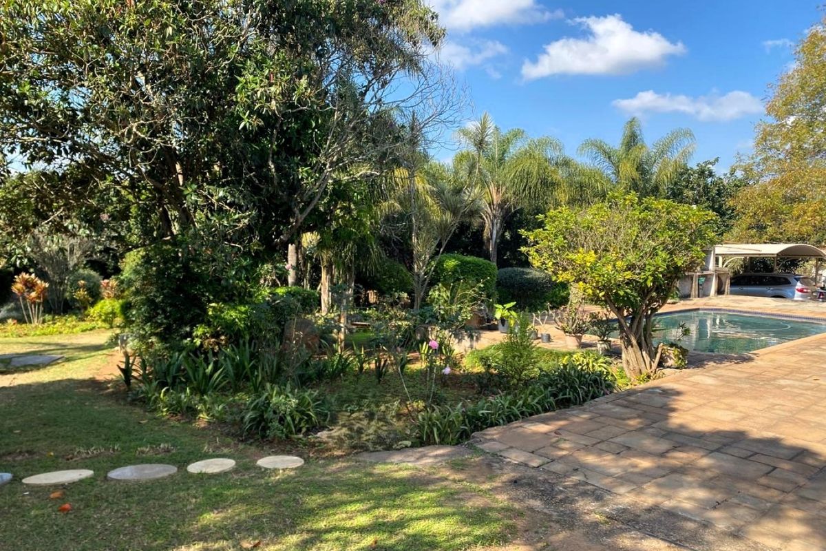 15.9ha Macadamia Farm – Development Opportunity – Plaston, White River - Photo 2
