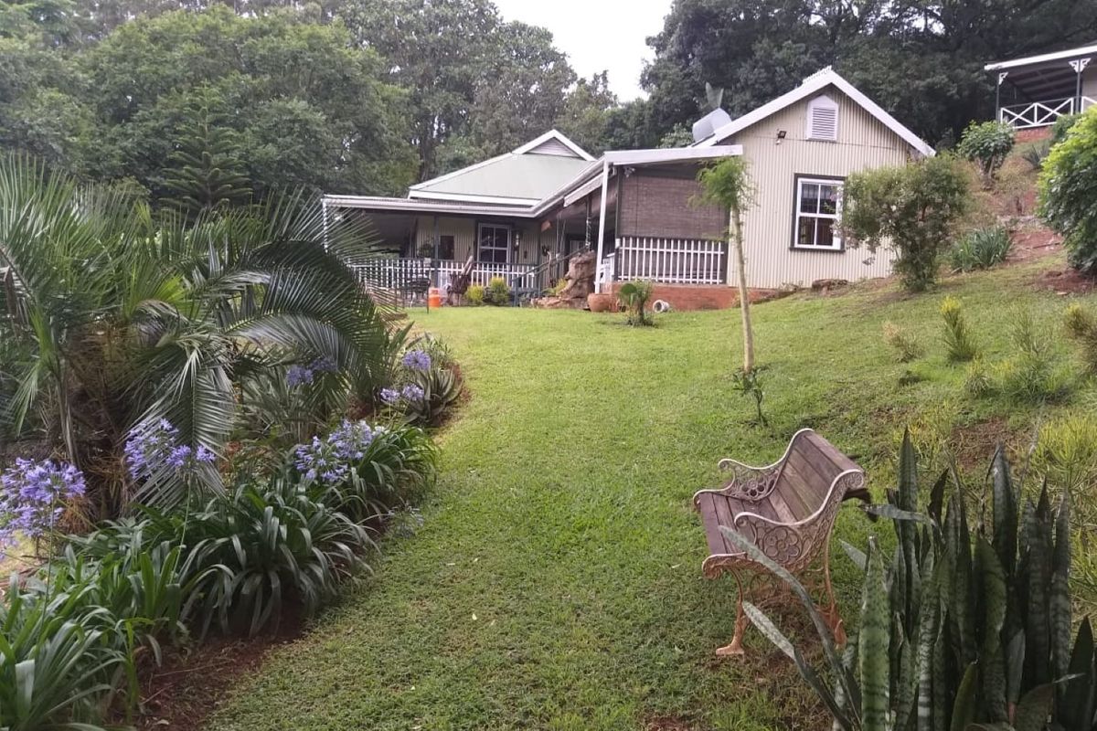 A view of the rear exterior of the house featuring corrugated metal cladding, a covered patio area, and a well-maintained landscaped garden.