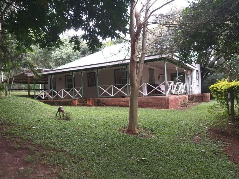 A charming single-story house featuring a wrap-around covered veranda with timber balustrades, set within a mature, leafy garden.