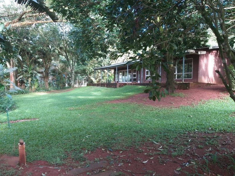 A view of the rear exterior of the house featuring a covered patio, brick foundation, and a spacious, tree-lined garden area.