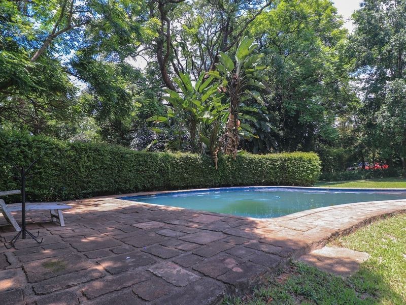 Outdoor swimming pool area featuring stone paving and established garden surroundings with mature trees and a manicured hedge boundary.