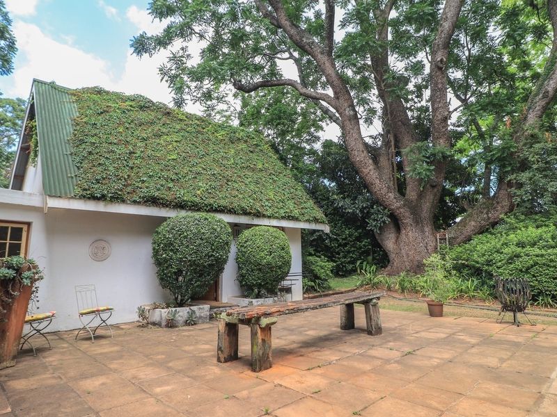 A spacious outdoor patio area featuring tiled flooring, set against a unique building with a green roof and a large, mature tree.