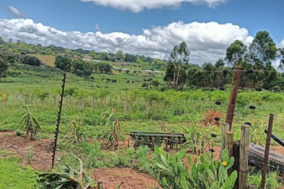 A scenic view of the farm landscape featuring open fields, rolling hills, and perimeter electric fencing with wooden posts.