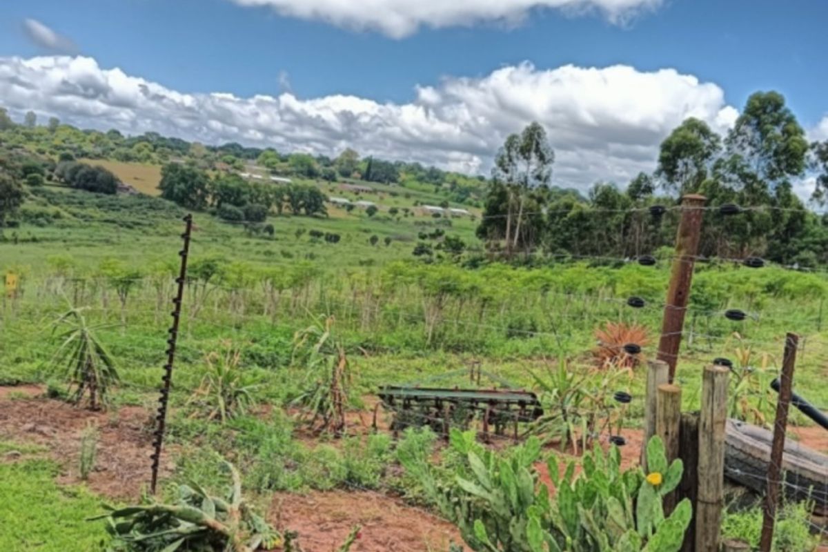 A scenic view of the farm landscape featuring rolling green hills, open fields, and traditional wire fencing with wooden posts.