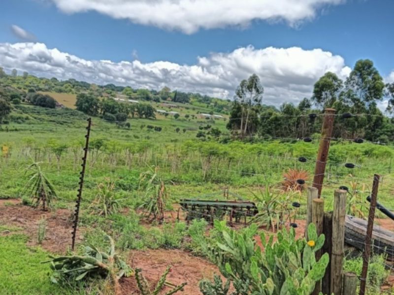 A scenic view of the farm landscape featuring rolling green hills, open fields, and traditional wire fencing with wooden posts.