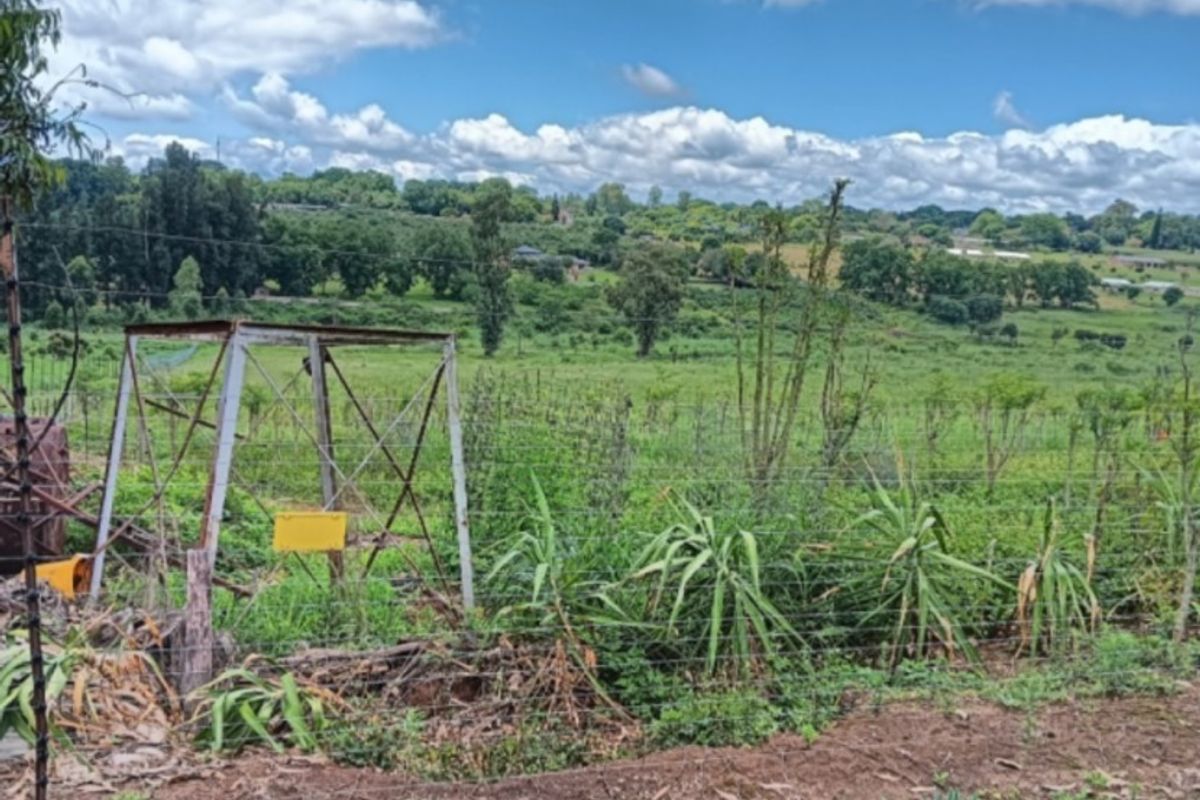 A view of the farm landscape featuring wire fencing and a weathered metal structure set against a backdrop of rolling green hills.