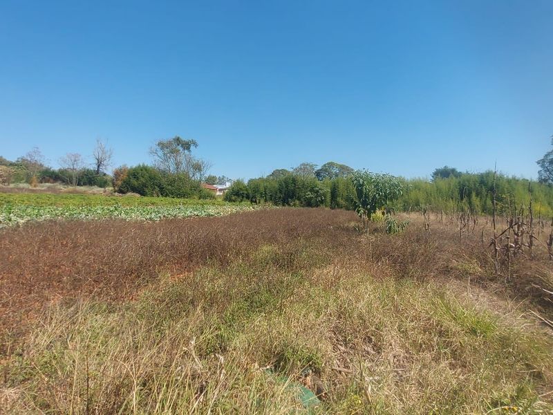 A view of an open residential plot featuring natural vegetation and trees under a clear blue sky.
