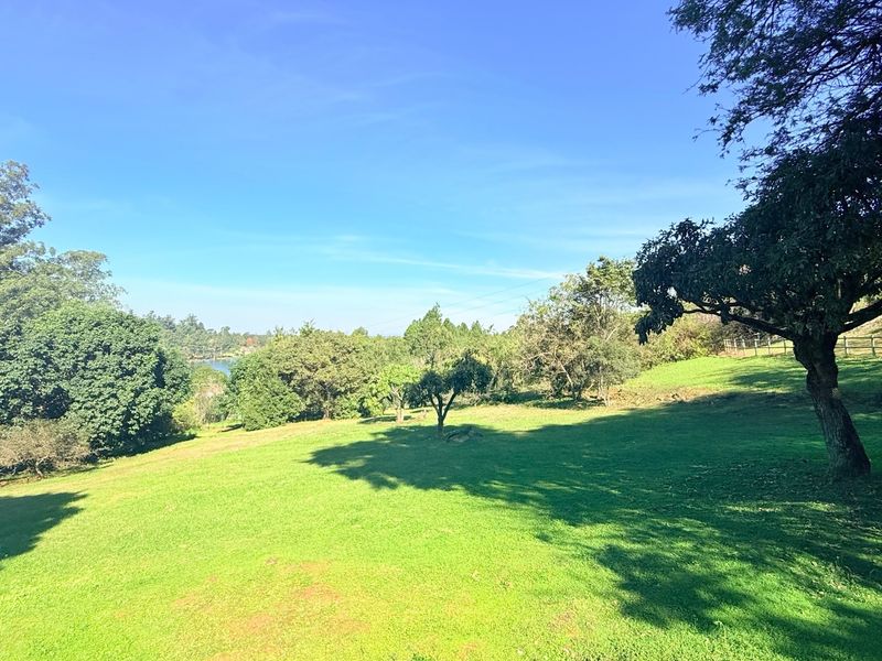 A spacious, well-maintained grassy garden area featuring mature trees and expansive open space.