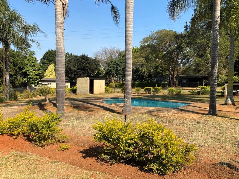 Outdoor pool area featuring a swimming pool with paved surround, mature palm trees, and a small outbuilding set within a spacious garden.