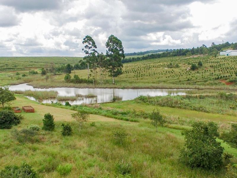 A scenic elevated view of a natural pond surrounded by rolling green hills and landscaped vegetation.