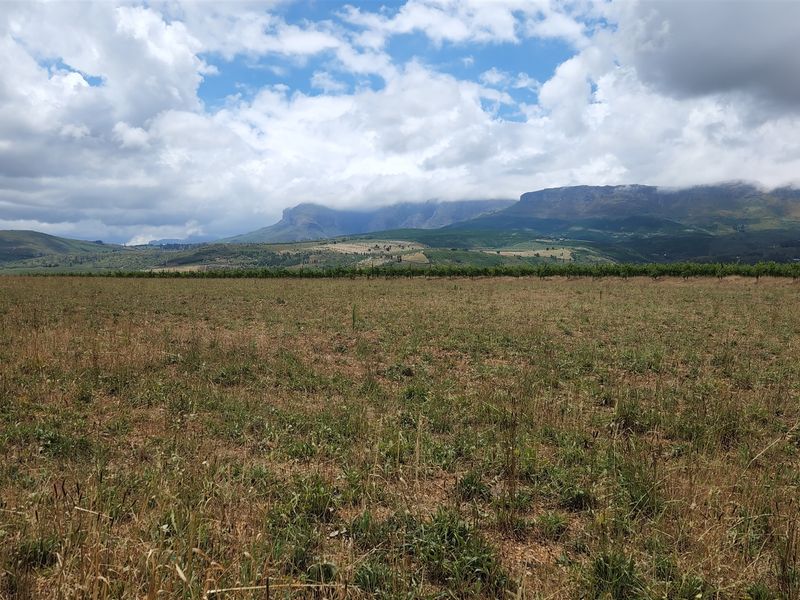 Paarl wine farm for sale - Photo 9