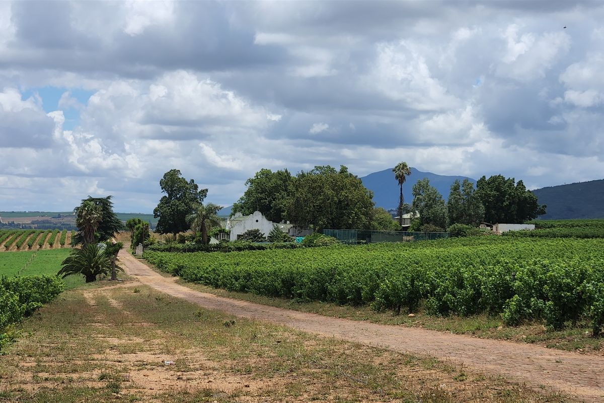 Paarl wine farm for sale - Photo 3