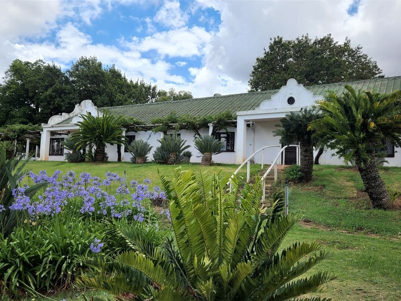 Paarl wine farm for sale - Photo 2