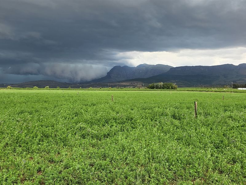 Wine grape farm for sale in Paarl - Photo 5