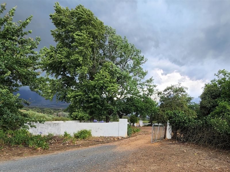 Wine grape farm for sale in Paarl - Photo 10