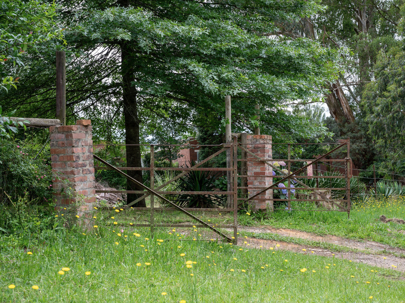 Where Family Life Finds Room to Flourish - Photo 3