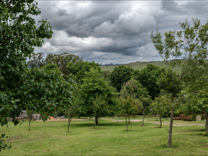 Where Natural Tranquillity Meets Refined Country Living: A Rare Midlands Offering - Photo 10