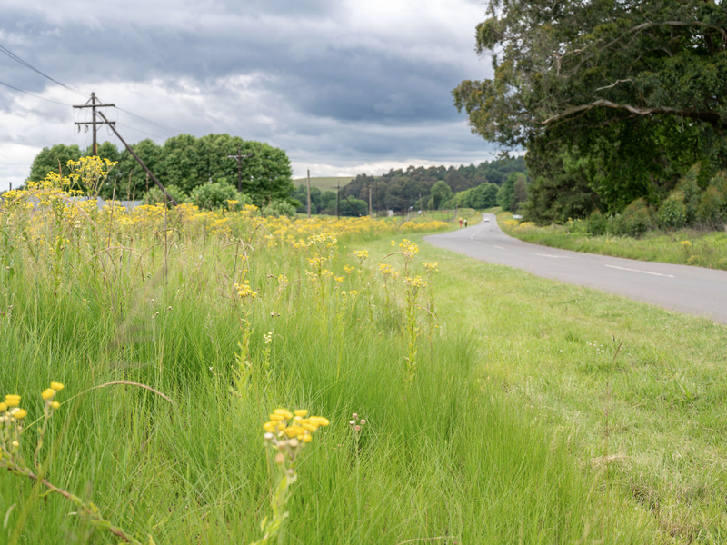 Where Nature, Freedom and Living Meet - Photo 1