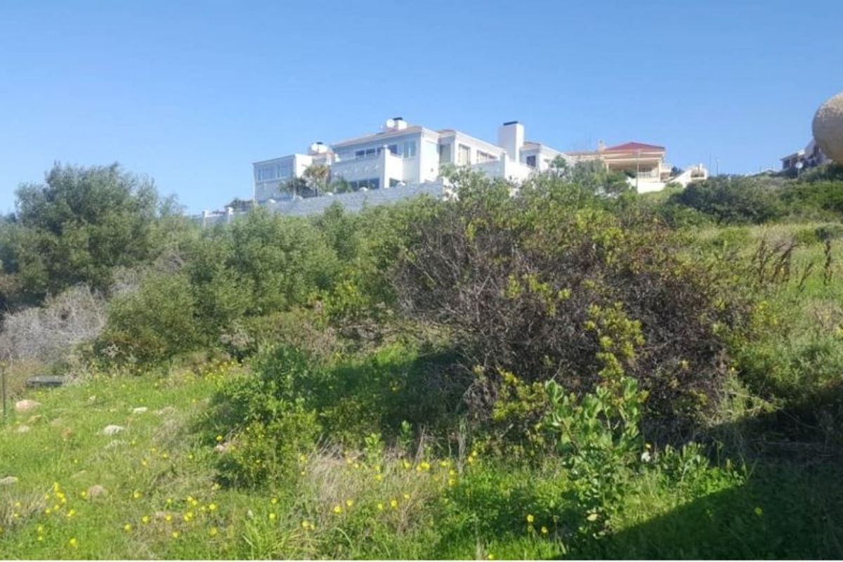 A view of the sloped residential land featuring natural vegetation with neighboring properties visible in the background.